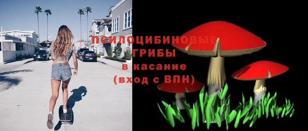 индика Алексеевка