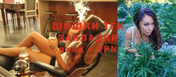 шишки Алзамай