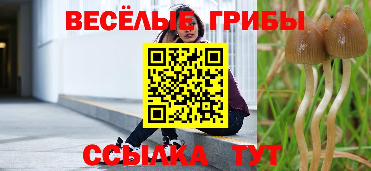 Псилоцибиновые грибы GOLDEN TEACHER Нягань